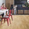 Картинка товара плитка quick-step alpha vinyl blos 40039 дуб каньон натур AVSPU40039 parketcity-ufa.ru