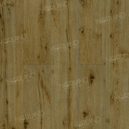 Картинка товара ламинат norland 10/33 elegant lf305-14 дуб скай 014490 parketcity-ufa.ru