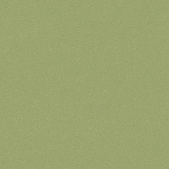 Линолеум Tarkett Acczent Pro Aspect 9 parketcity-ufa.ru