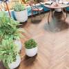 Картинка товара плитка alpine floor parquet lvt 16-10 макадамия ECO16-10 parketcity-ufa.ru