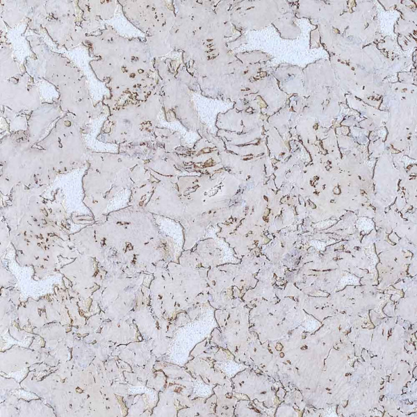 Картинка товара пробка настенная ibercork лерида невада 010478 parketcity-ufa.ru