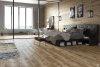Картинка товара ламинат classen 10/33 arteo wr 10 xl 54842 дуб фьордленд 54842 parketcity-ufa.ru