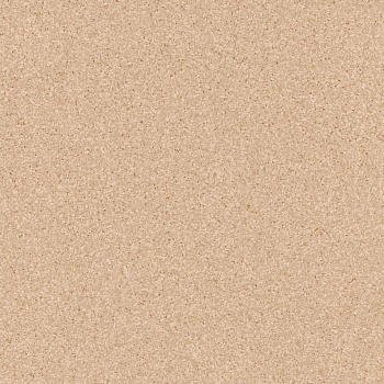 Линолеум Tarkett Primo PLUS 302 (2 м) parketcity-ufa.ru