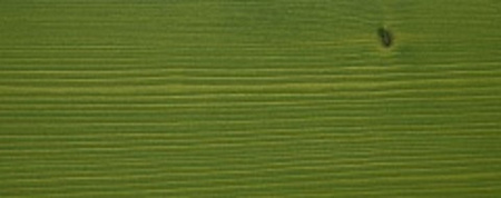 Картинка товара масло g-nature (0,375) лайм  остаток!!! 245-21 parketcity-ufa.ru