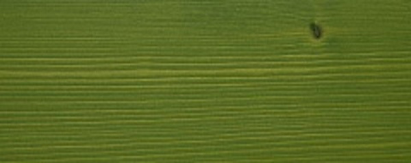 Картинка товара масло g-nature (0,375) лайм  остаток!!! 245-21 parketcity-ufa.ru