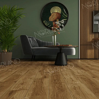 Ламинат Norland 12/34 Elegant Strong LF302-18 Дуб Корсика parketcity-ufa.ru