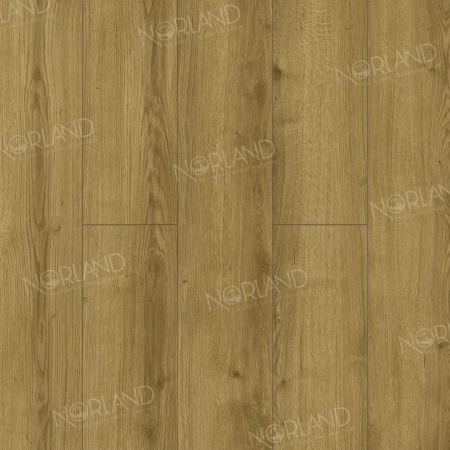 Картинка товара ламинат norland 10/33 elegant lf305-17 дуб фанэн 014492 parketcity-ufa.ru