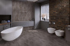 Картинка товара spc ламинат damy floor ascent strong арарат 1204-3 parketcity-ufa.ru