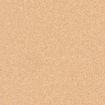 Линолеум Tarkett Primo PLUS 304 (2 м) parketcity-ufa.ru