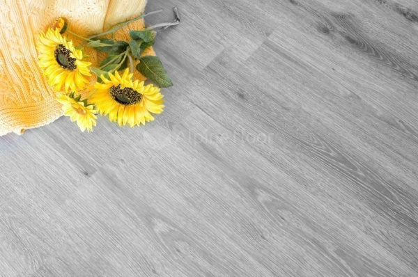 Картинка товара плитка alpine floor ultra 5-16 дуб пепельный ECO5-16 parketcity-ufa.ru