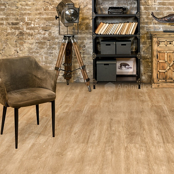 SPC плитка Alpine Floor Grand Sequoia 11-5 Камфора      parketcity-ufa.ru