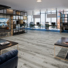 Картинка товара spc ламинат damy floor family дуб классический серый Т7020-2 parketcity-ufa.ru