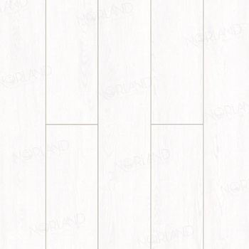 Ламинат Norland 8/33 Elegant LF301-01 Дуб Ланай   parketcity-ufa.ru