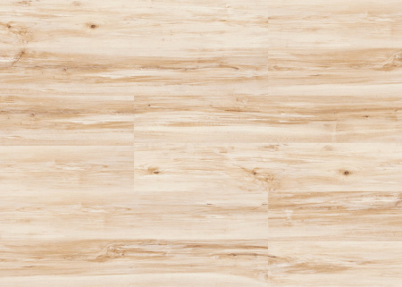 Картинка товара пробковое покрытие corkstyle wood maple  вывод!!! 011867 parketcity-ufa.ru