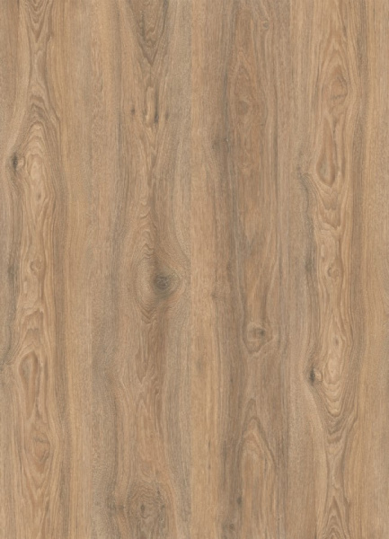 Картинка товара ламинат quick-step 12/33 impressie ultra 8466 дуб скалистый IMU8466 parketcity-ufa.ru