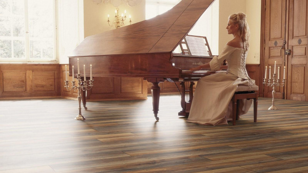 Картинка товара ламинат 12/33 jangal/robusto 3570/8570 3570/8570 parketcity-ufa.ru