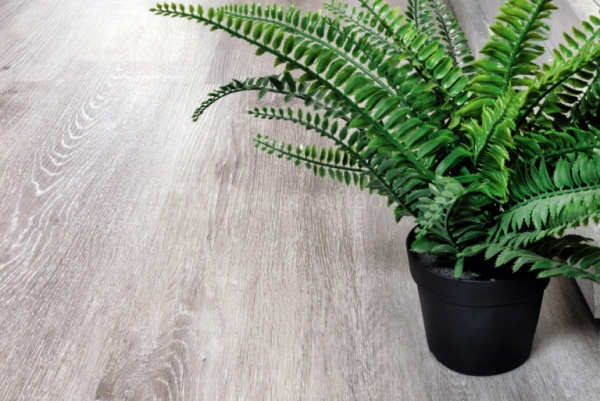 Картинка товара spc плитка alpine floor classic 134-5 ясень серый  002678 parketcity-ufa.ru