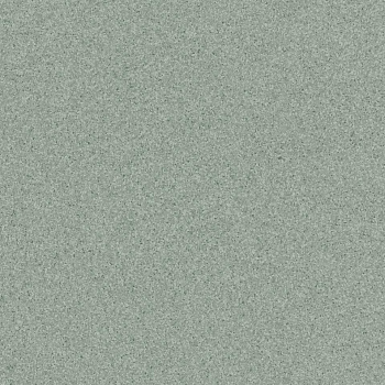 Линолеум Tarkett Primo PLUS 311 (2 м) parketcity-ufa.ru