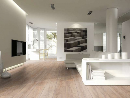 Картинка товара ламинат 12/33 jangal/robusto 2987 2987 parketcity-ufa.ru