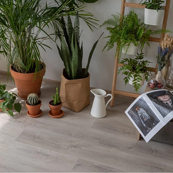 Плитка LVT Vinilam Click 20468 Дуб Ален parketcity-ufa.ru