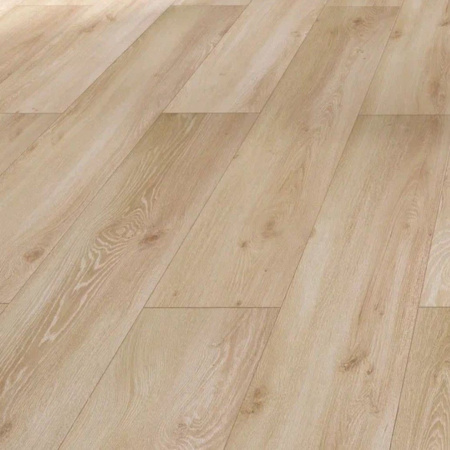 Картинка товара ламинат creative 8/33 standart mat 706 молли (canavese blond)  parketcity-ufa.ru