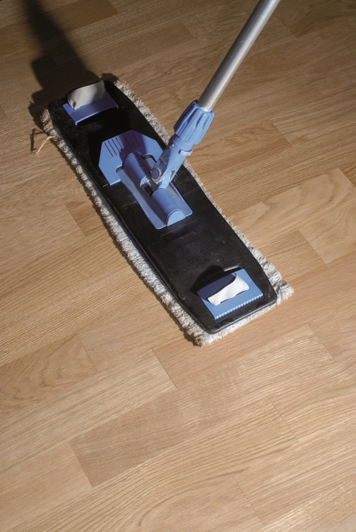 Картинка товара vermeister idronet (1л) полироль для паркета, покрытого лаком 509100  parketcity-ufa.ru