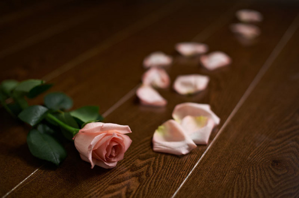 Картинка товара доска массив amberwood ясень шоколад 900*95*18 мм  снят!!! 004743 parketcity-ufa.ru