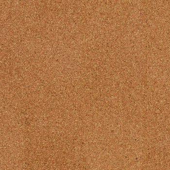 Пробковое покрытие Wicanders Go Moment (Narva) parketcity-ufa.ru