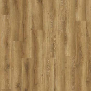 SPC плитка Adelar Solida 03866 Traditional Oak  АКЦИЯ!!! parketcity-ufa.ru