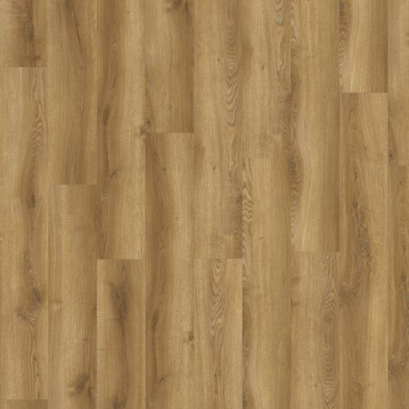 Фото товара spc плитка adelar solida acoustic 03866 traditional oak  акция!!! 400087435 parketcity-ufa.ru Картинка товара spc плитка adelar solida acoustic 03866 traditional oak  акция!!! 400087435 parketcity-ufa.ru