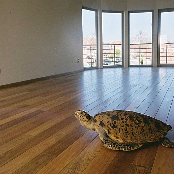 Массивная доска MGK Floor Тик 400-1500*120*18 мм parketcity-ufa.ru