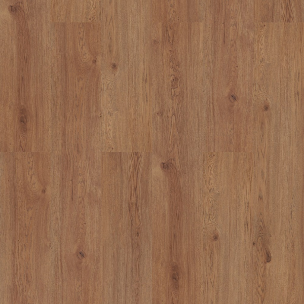 Картинка товара плитка wpc vinilam cork premium 33999 дуб гранада 33999 parketcity-ufa.ru