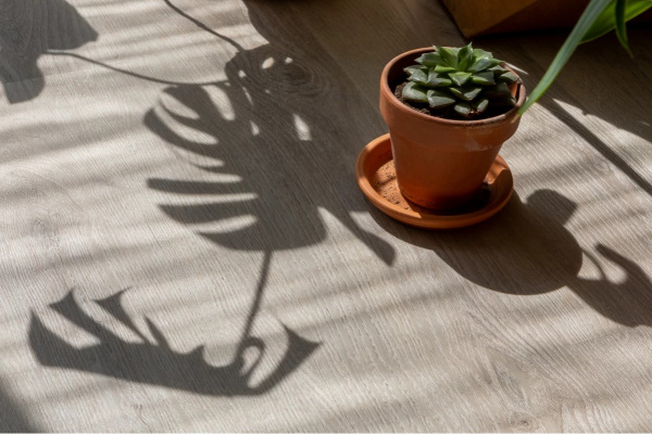 Картинка товара плитка lvt vinilam click 20468 дуб ален 005098 parketcity-ufa.ru