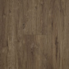 Картинка товара spc ламинат damy floor family дуб имбирный 248-8 parketcity-ufa.ru