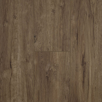 SPC ламинат Damy Floor Family Дуб Имбирный parketcity-ufa.ru