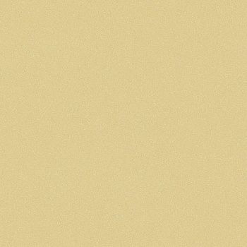 Линолеум Tarkett Acczent Pro Aspect 6 parketcity-ufa.ru