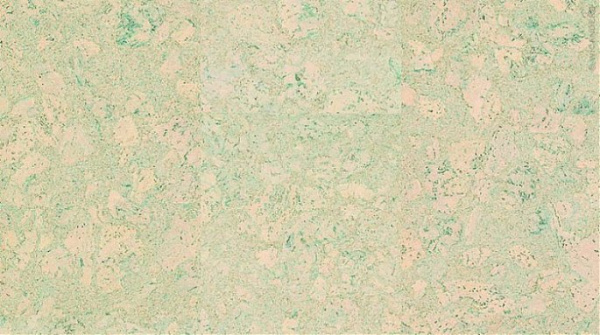 Картинка товара пробковый паркет amorim wise cork pure personality timide 4v  AJ3J002 parketcity-ufa.ru