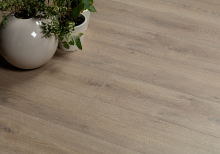 Картинка товара ламинат alsafloor 8/33 osmoze 529 дуб миндаль 011193 parketcity-ufa.ru