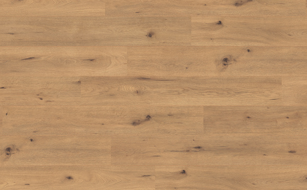 Картинка товара ламинат egger 10/33 4v classic 182 дикий дуб натуральный EPL182 parketcity-ufa.ru