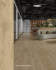 Картинка товара spc плитка alpine floor grand sequoia light 11-501 камфора ЕСО11-501 parketcity-ufa.ru